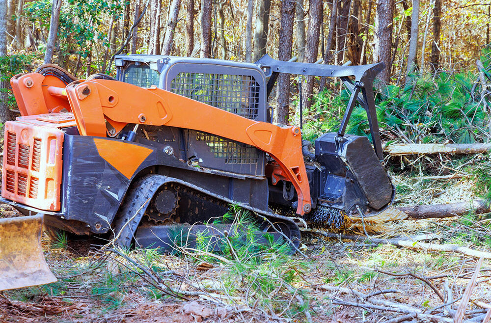Forestry Mulching: Eco-Friendly Land Clearing in Chattanooga
