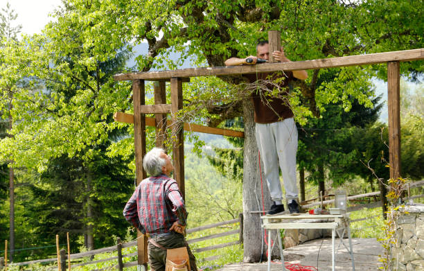 Treehouse builders constructing a custom wooden structure in a lush setting